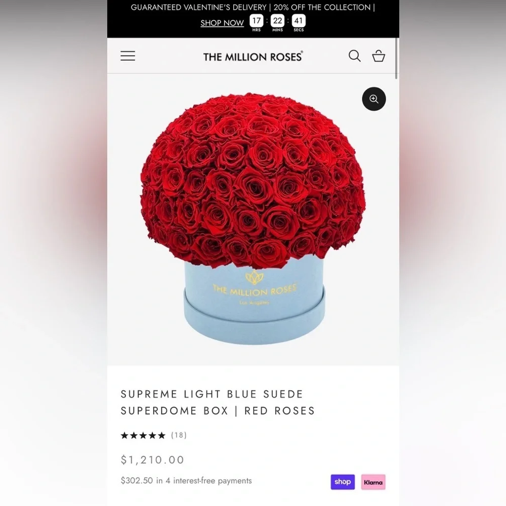 SUPREME BORDEAUX SUEDE SUPERDOME BOX | BURGUNDY ROSES